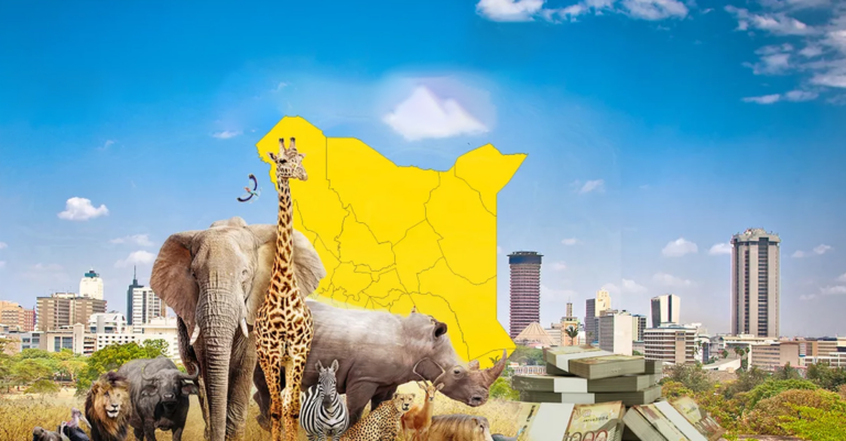 Exploring Kenya as a developing economy