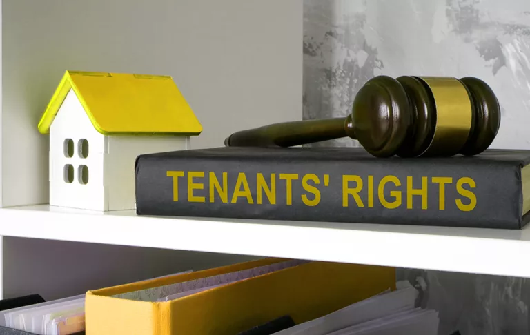 What Are the Rights of a Tenant in Kenya?