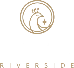 pavo logo 1