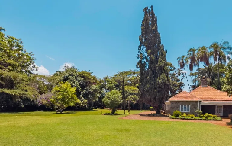 The Ultimate Guide to Buying Houses For Sale in Karen